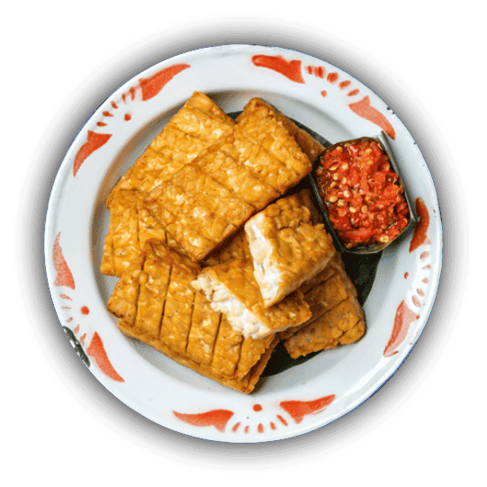 Tempe Goreng